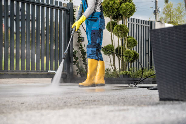 Best Fence Cleaning and Maintenance in Brookshire, TX